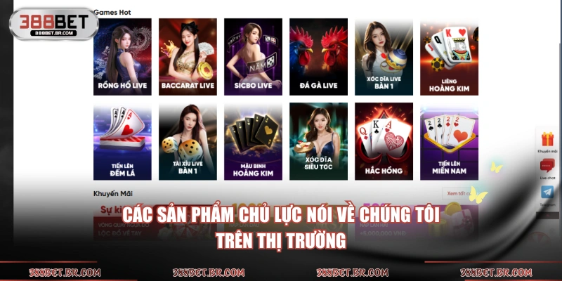 Các sản phẩm chủ lực nói về chúng tôi trên thị trường